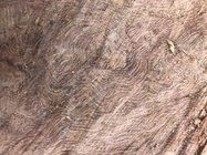 15B49F80-009A-46B7-968D-07DA95E48D17.jpeg