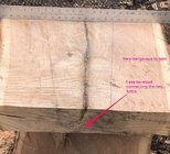 IMG_0123.jpeg