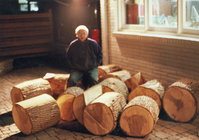 White Ash logs.jpg