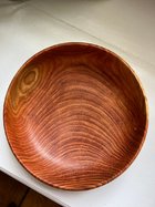 Honey Locust.jpg