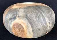 Whitebark Pine.jpeg
