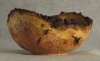 Cherry Burl 9 x 4.5w.jpg