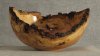 Cherry Burl 9 x 4.5.jpg