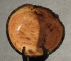 Cherry Burl 9 x 4.5tw.jpg