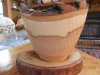 Norway maple-Kresge.jpg
