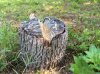 image-3104456173.jpg