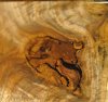 wood-fill-1.jpg