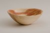 boxelder4326.jpg