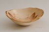 ne_boxelder4338.jpg