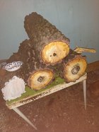 IMG_20230629_210951631.jpg