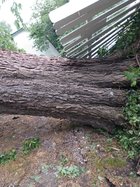 IMG_20230630_104401891.jpg