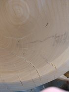 IMG_20230706_121650630.jpg