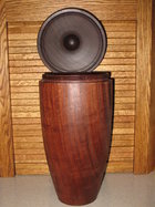 001aUWOT0613225.JPG