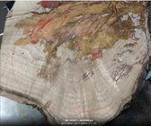 Onion burl.jpg