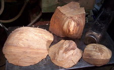 Burrs.jpg