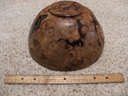 DSCF0021.JPG