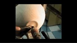 trim.8647FEA0-0DCD-4478-915D-AB783062A980.gif