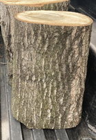 Giand Dogwood bark.jpg