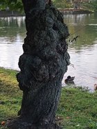 1006221751_HDR.jpg