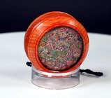 2023_yoyo_46e.jpg