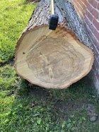 IMG_5563.jpeg
