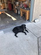 IMG_0836.jpeg