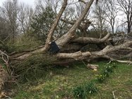 IMG_2050.JPG