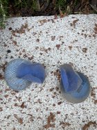 IMG_2738.jpeg