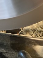 8DC573ED-B098-434E-85EA-0CA8DE64E687.jpeg