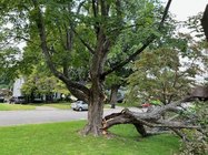 IMG_3091.jpeg