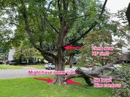 IMG_0395.jpeg