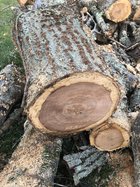 IMG_0176.jpeg