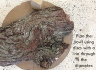 IMG_0414.jpeg IMG_0414.jpeg