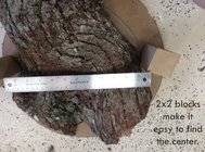 IMG_0413.jpeg IMG_0413.jpeg