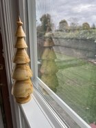 IMG_0137.jpeg