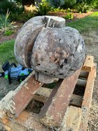 burl1.jpg