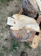 burl2.jpg