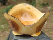 Mulberry Crotch.jpg