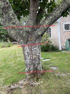 IMG_7493.jpeg