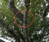IMG_7494.jpeg