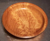 Mulberry crotch feather.jpg