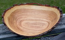 Natural edge honey Locust.jpg