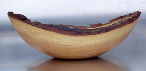 Honey Locust profile.jpg
