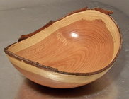 Honey Locust.jpg
