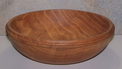 Honey Locust .jpg