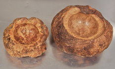 Hard Maple Burls.jpg