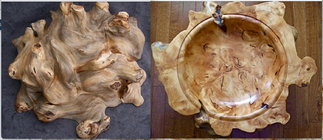 Willow burl inside and outside.jpg
