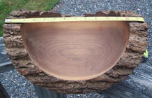 Black Walnut natural edge.jpg
