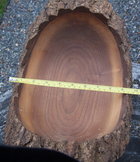 Rough Turned Black Walnut.jpg