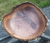 Black Walnut crotch natural edge.jpg